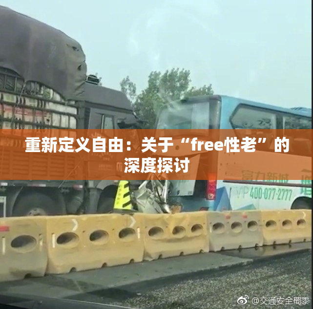 重新定义自由：关于“free性老”的深度探讨