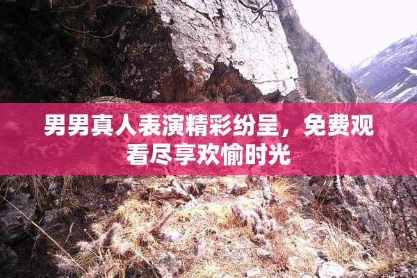 男男真人表演精彩纷呈，免费观看尽享欢愉时光