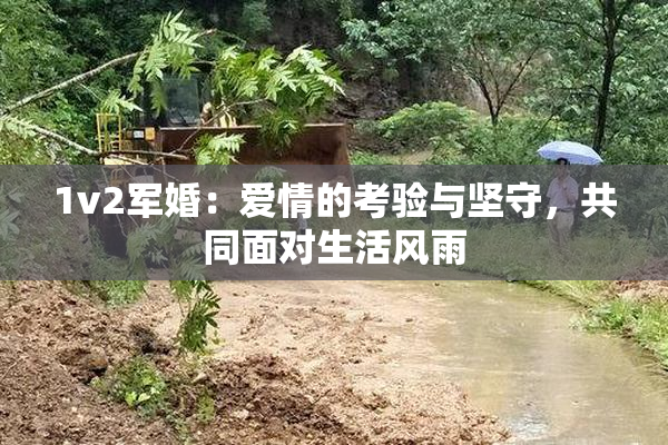 1v2军婚：爱情的考验与坚守，共同面对生活风雨