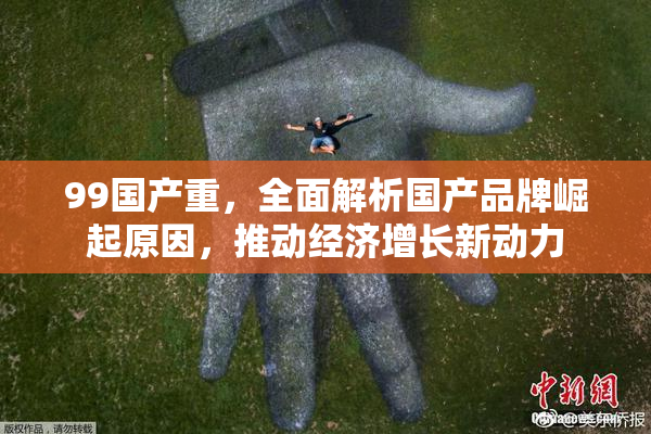 99国产重，全面解析国产品牌崛起原因，推动经济增长新动力
