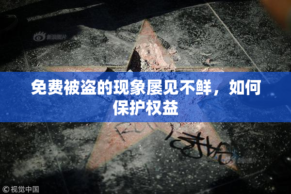 免费被盗的现象屡见不鲜，如何保护权益
