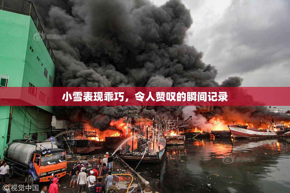 小雪表现乖巧，令人赞叹的瞬间记录