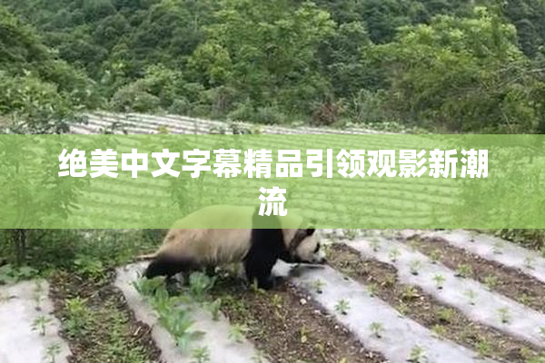 绝美中文字幕精品引领观影新潮流