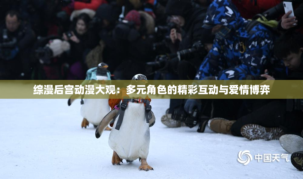 综漫后宫动漫大观：多元角色的精彩互动与爱情博弈