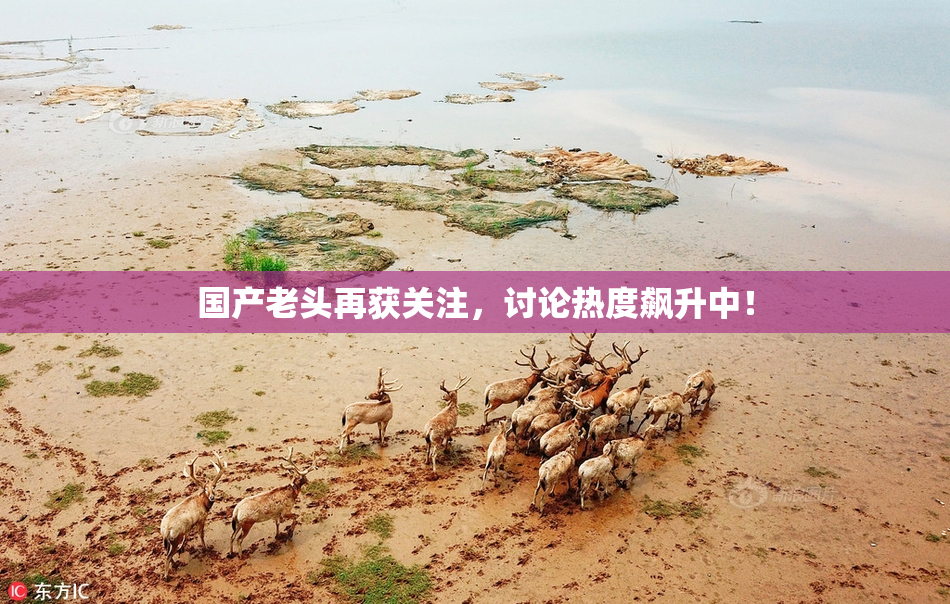 国产老头再获关注，讨论热度飙升中！