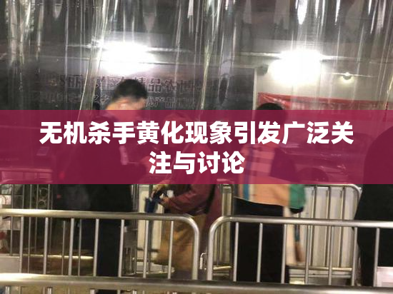 无机杀手黄化现象引发广泛关注与讨论