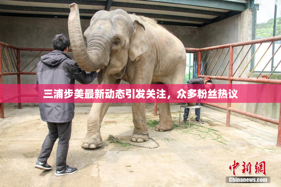 三浦步美最新动态引发关注，众多粉丝热议