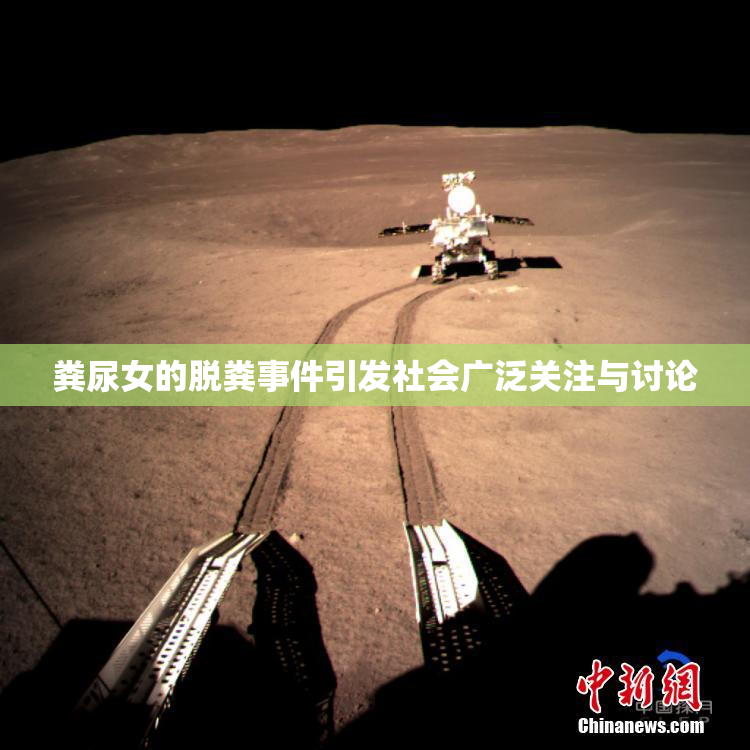 粪尿女的脱粪事件引发社会广泛关注与讨论