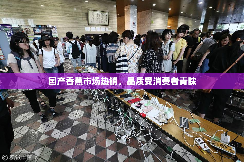 国产香蕉市场热销，品质受消费者青睐