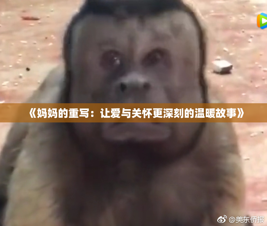 《妈妈的重写：让爱与关怀更深刻的温暖故事》