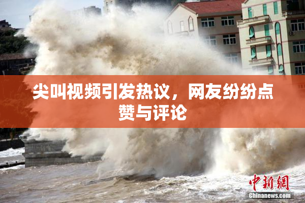 尖叫视频引发热议，网友纷纷点赞与评论