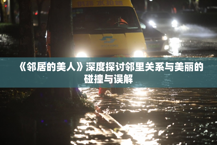 《邻居的美人》深度探讨邻里关系与美丽的碰撞与误解