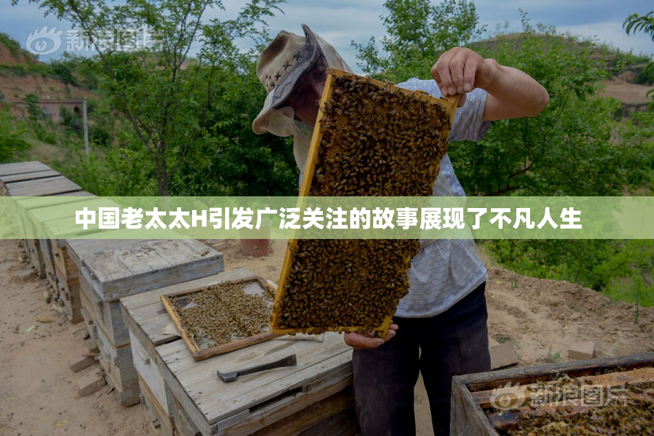 中国老太太H引发广泛关注的故事展现了不凡人生