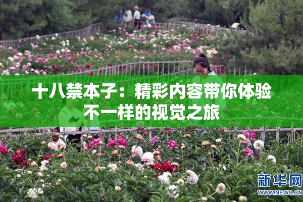 十八禁本子：精彩内容带你体验不一样的视觉之旅