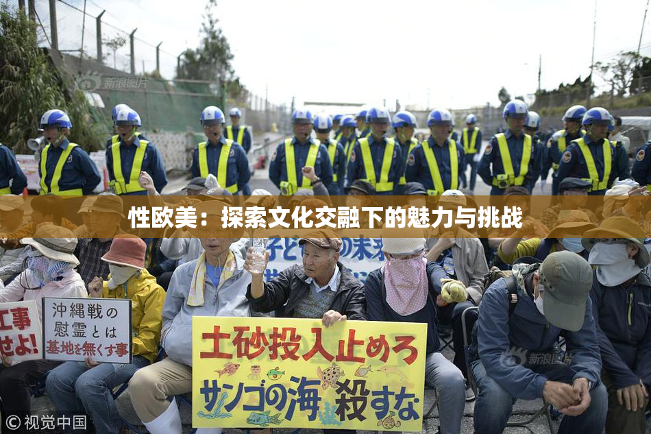 性欧美：探索文化交融下的魅力与挑战