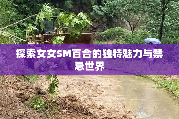 探索女女SM百合的独特魅力与禁忌世界