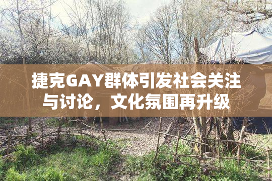捷克GAY群体引发社会关注与讨论，文化氛围再升级