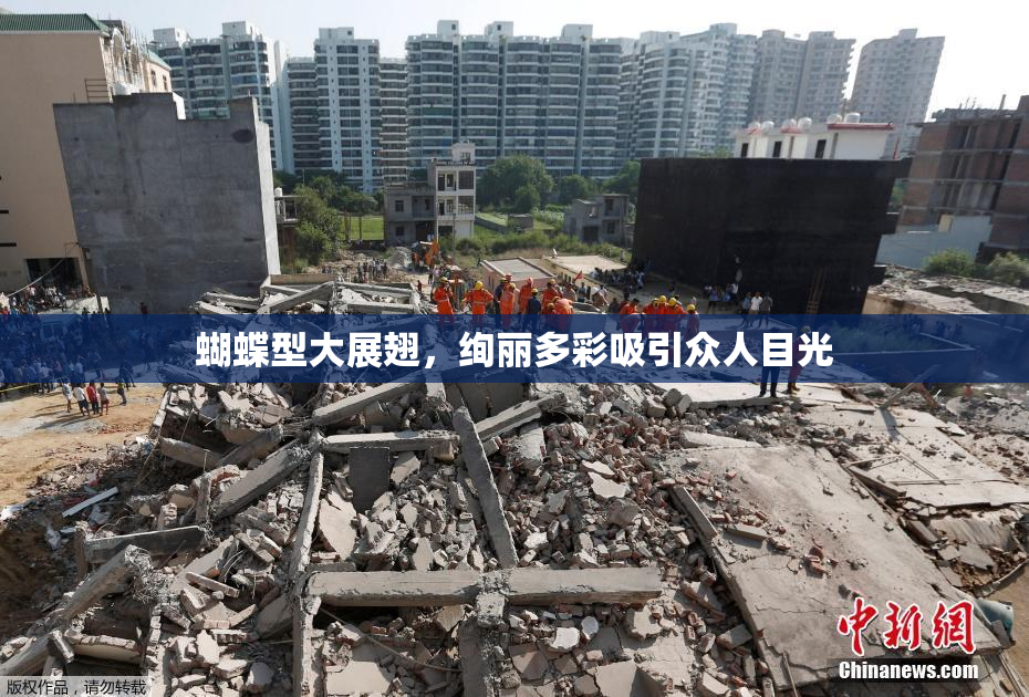 蝴蝶型大展翅，绚丽多彩吸引众人目光