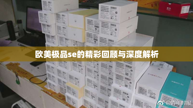 欧美极品se的精彩回顾与深度解析