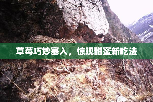 草莓巧妙塞入，惊现甜蜜新吃法