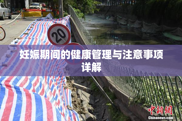 妊娠期间的健康管理与注意事项详解