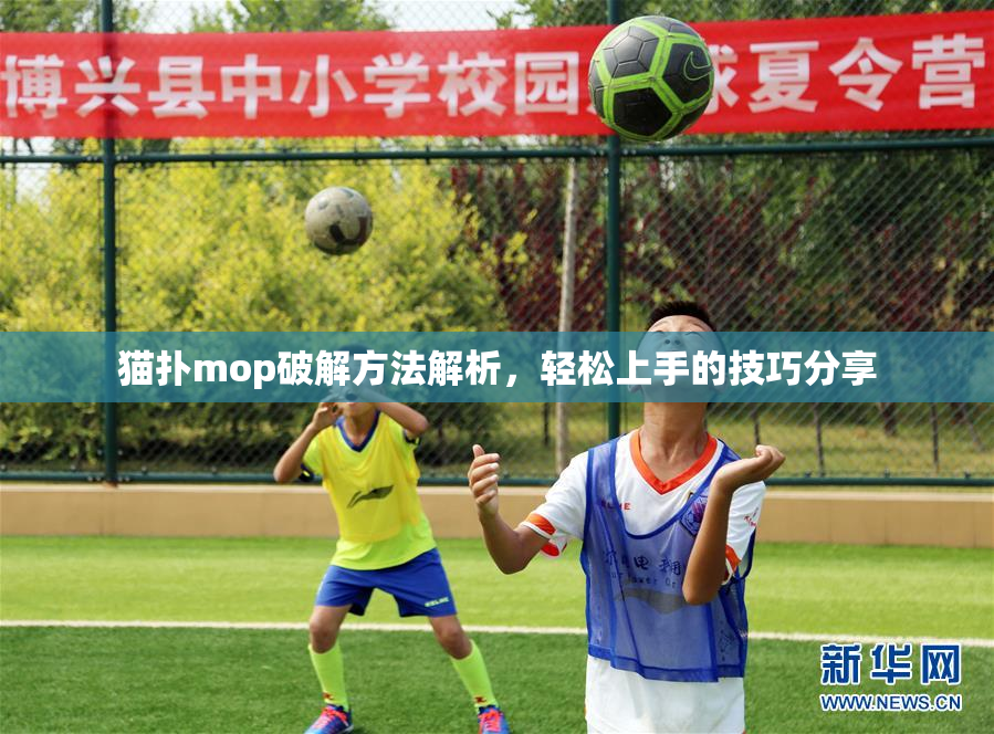 猫扑mop破解方法解析，轻松上手的技巧分享