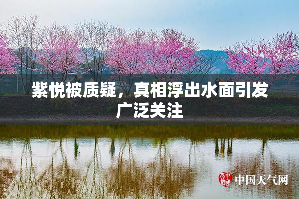 紫悦被质疑，真相浮出水面引发广泛关注