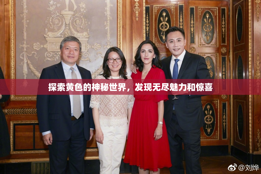 探索黄色的神秘世界，发现无尽魅力和惊喜