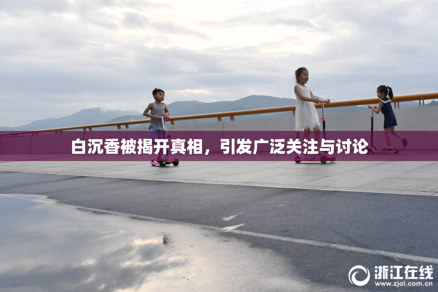 白沉香被揭开真相，引发广泛关注与讨论