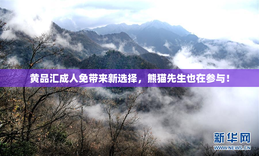 黄品汇成人免带来新选择，熊猫先生也在参与！