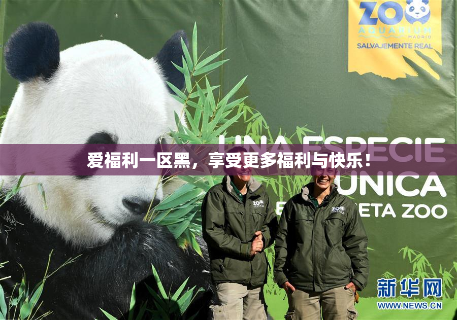 爱福利一区黑，享受更多福利与快乐！