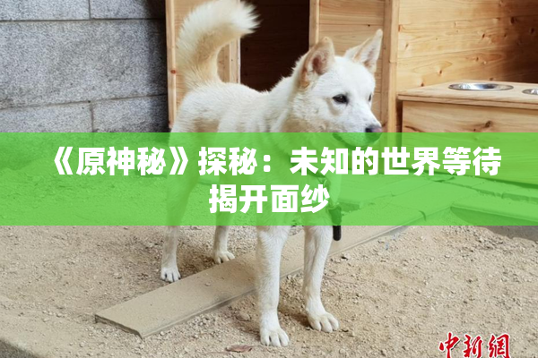 《原神秘》探秘：未知的世界等待揭开面纱