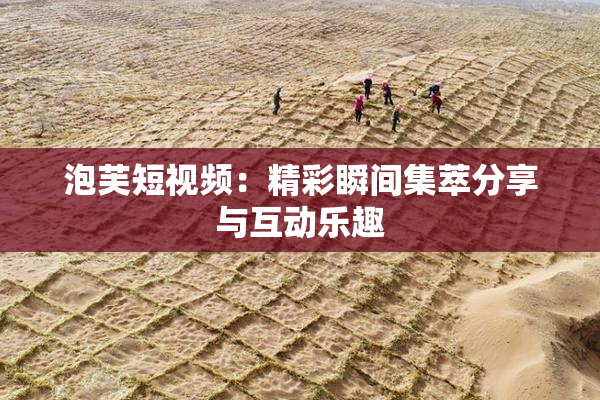 泡芙短视频：精彩瞬间集萃分享与互动乐趣