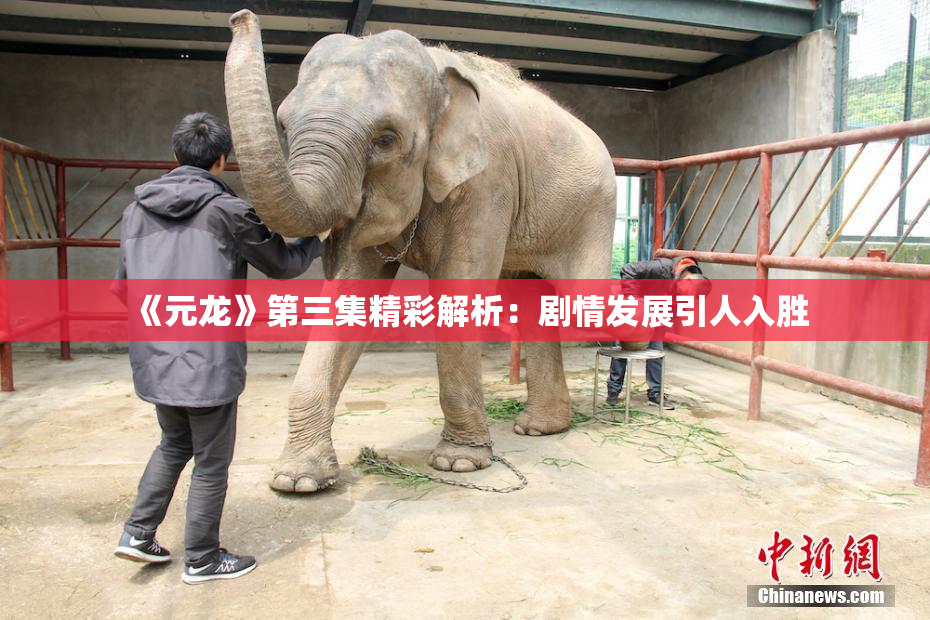 《元龙》第三集精彩解析：剧情发展引人入胜