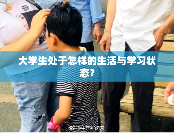 大学生处于怎样的生活与学习状态？