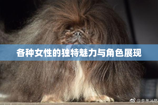 各种女性的独特魅力与角色展现