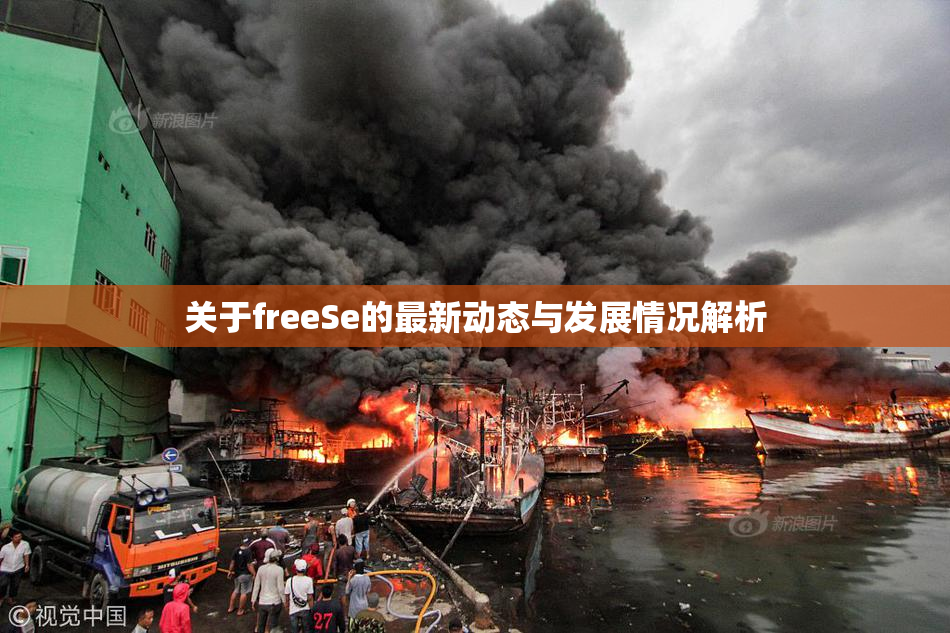 关于freeSe的最新动态与发展情况解析