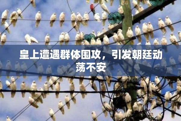皇上遭遇群体围攻，引发朝廷动荡不安