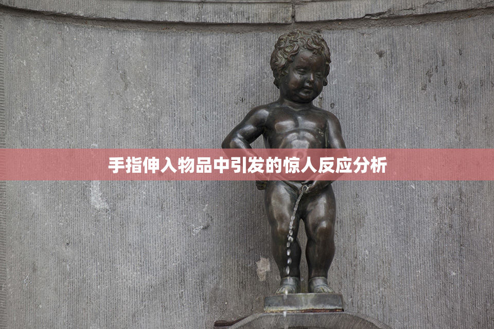 手指伸入物品中引发的惊人反应分析