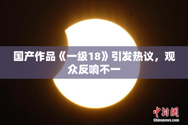 国产作品《一级18》引发热议，观众反响不一