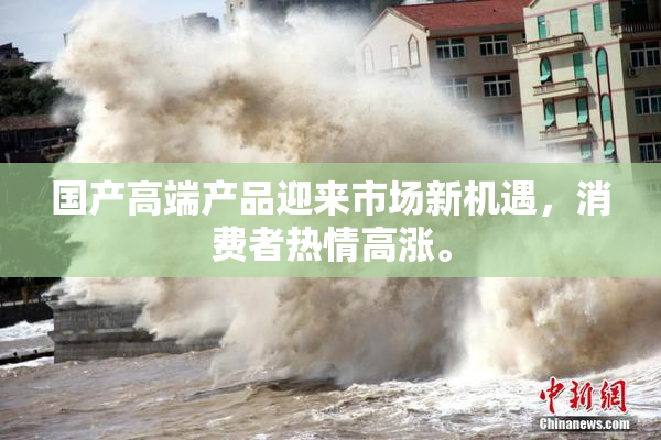 国产高端产品迎来市场新机遇，消费者热情高涨。