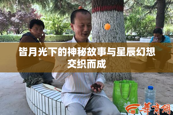 皆月光下的神秘故事与星辰幻想交织而成