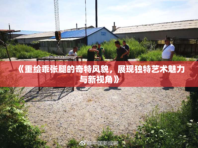 《重绘乖张腿的奇特风貌，展现独特艺术魅力与新视角》
