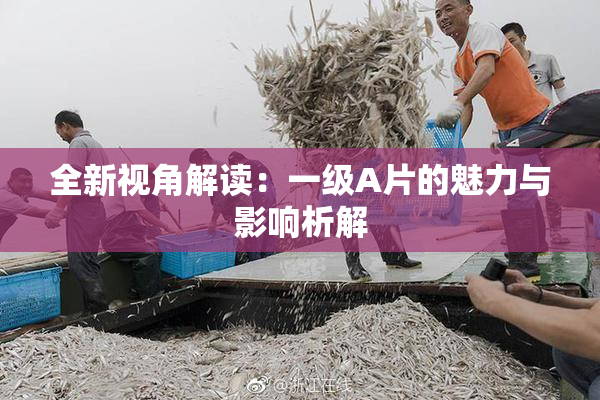 全新视角解读：一级A片的魅力与影响析解