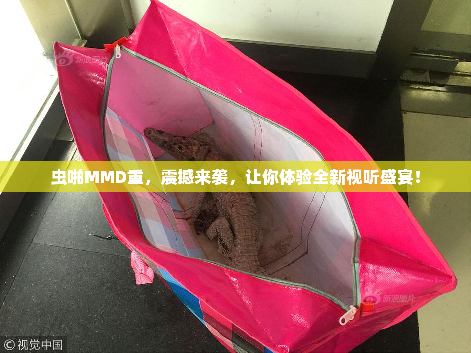 虫啪MMD重，震撼来袭，让你体验全新视听盛宴！