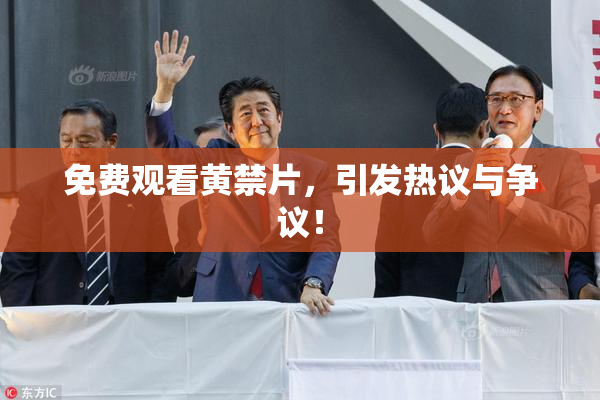 免费观看黄禁片，引发热议与争议！