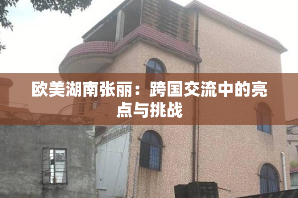 欧美湖南张丽：跨国交流中的亮点与挑战