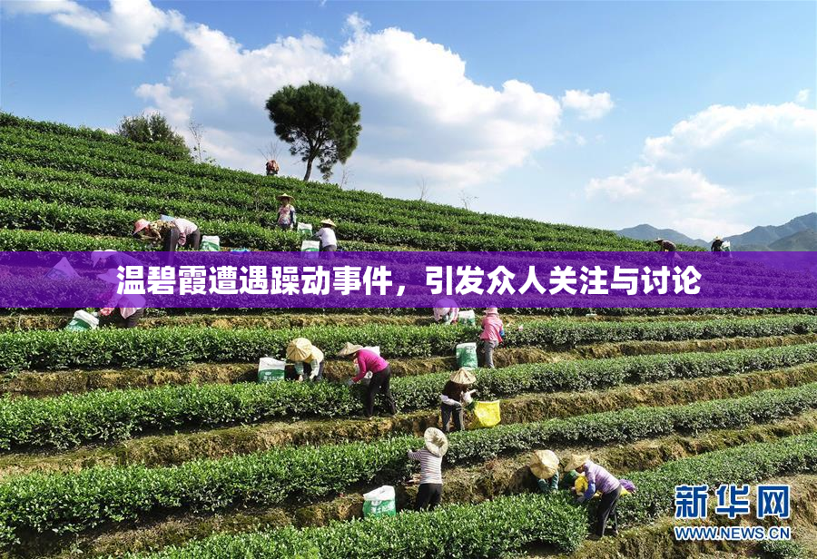 温碧霞遭遇躁动事件，引发众人关注与讨论