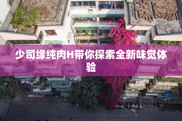 少司缘纯肉H带你探索全新味觉体验