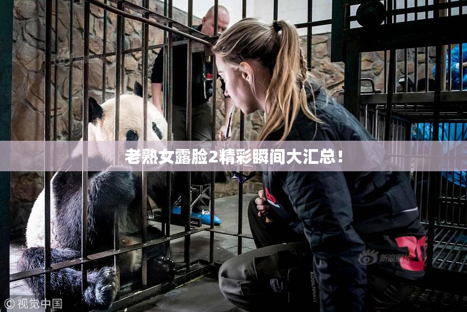 老熟女露脸2精彩瞬间大汇总！